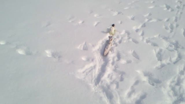 Горностай пытается утащить щучку смотреть онлайн