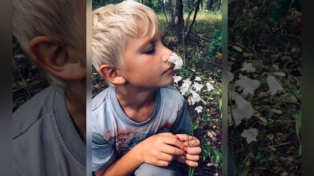 Вероника Долина. Когда б мы жили без затей. смотреть онлайн