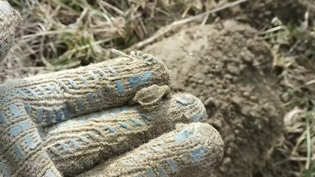 Ухты первое золото в этом сезоне смотреть онлайн
