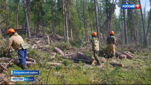 Десантники пожарные из ХМАО приступили к тушению лесного пожара в Егорьевском районе смотреть онлайн