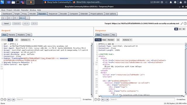 Blind SQL injection Time Delay Nedir, Neden Kullanılır смотреть онлайн