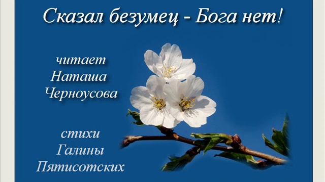 СКАЗАЛ БЕЗУМЕЦ читает Наташа Черноусова, стихи Галины Пятисотских смотреть онлайн