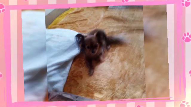 видео фото смотреть онлайн