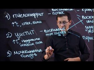 Гигиена мочевыделительной системы. 9 класс.