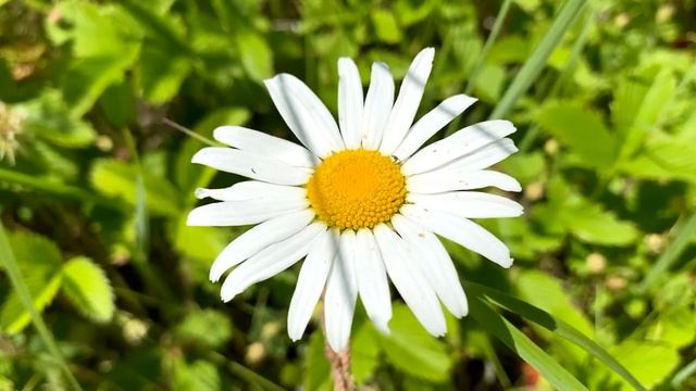 Почему нельзя говорить это слово, когда прощаешься и заканчиваешь разговор. Чего можно лишиться. смотреть онлайн