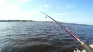 Рыбалка и Ловля судака в отвес  на джиг в Ленинградской области 2016