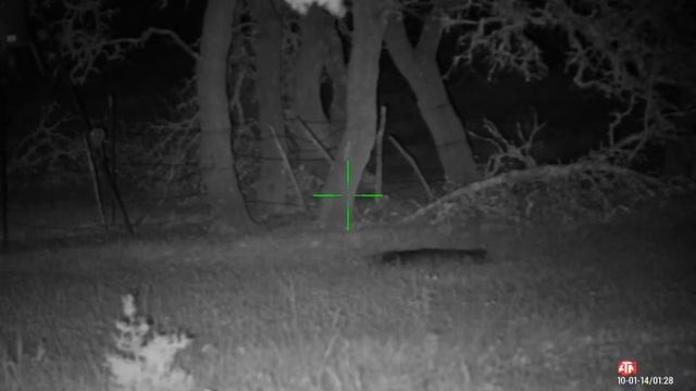 ATN 3x14 day & night scope NIGHTHAWK смотреть онлайн
