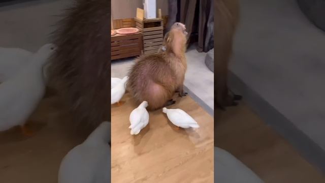 Массаж? смотреть онлайн