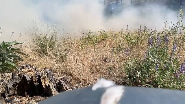 Fender Rumble Explodes. смотреть онлайн