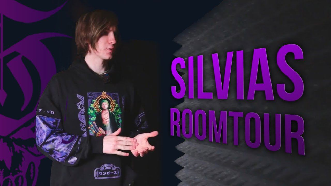 Silvias Days №1 - рум тур - где снимает видосы Silvias. Мой сетап для стримов. Feat @nikidron смотреть онлайн
