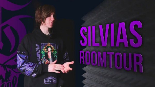 Silvias Days №1 - рум тур - где снимает видосы Silvias. Мой сетап для стримов. Feat @nikidron