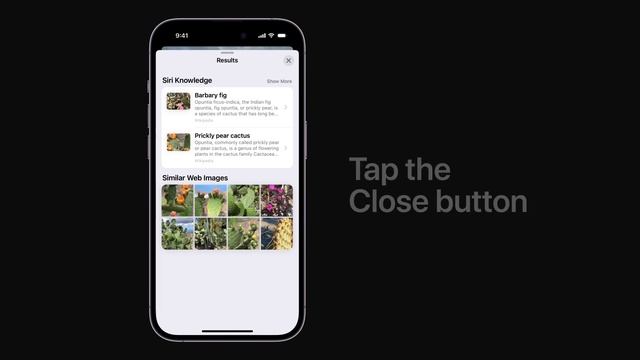 How to use Visual Look Up on your iPhone | Apple Support смотреть онлайн