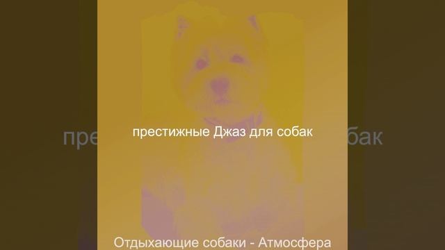 Моменты (Выгул собак) смотреть онлайн