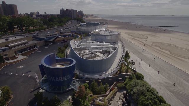 Ocean Wonders: Sharks! | NY Aquarium смотреть онлайн