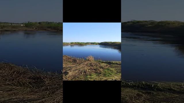 в Зауйсаева смотреть онлайн