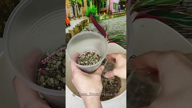 Фитильковый или фитильный полив своими руками. смотреть онлайн