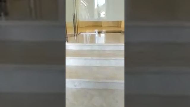 Аренда офисного здания в Киеве смотреть онлайн