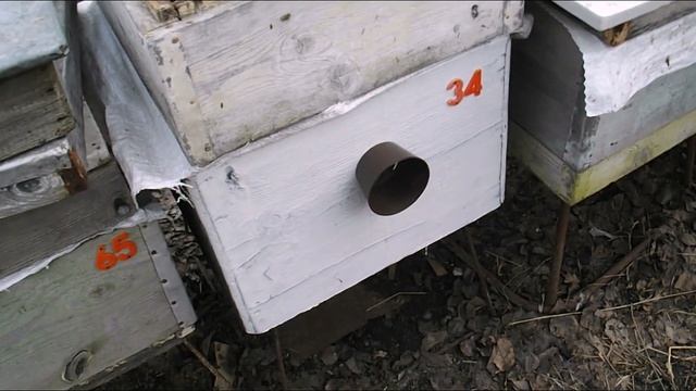 весенние работы на пасеке - как расширять пчел если возможны еще ночные похолодания смотреть онлайн