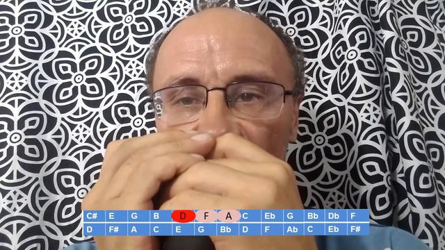 Green sleeves on harmonica-accordion (pocket accordion). смотреть онлайн