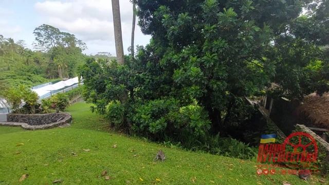 Бали. Alila Ubud. Краткий обзор отеля.