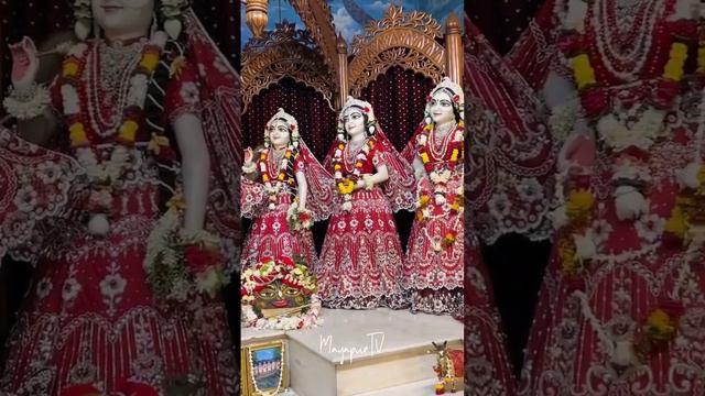 Даршан божеств в Маяпуре смотреть онлайн