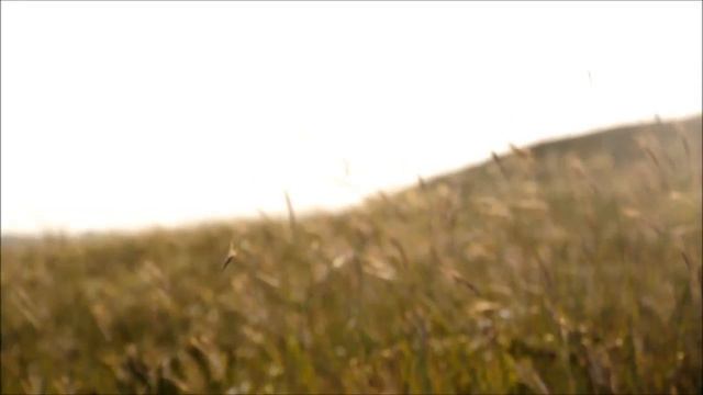 Океан Ельзи -- З Нею смотреть онлайн