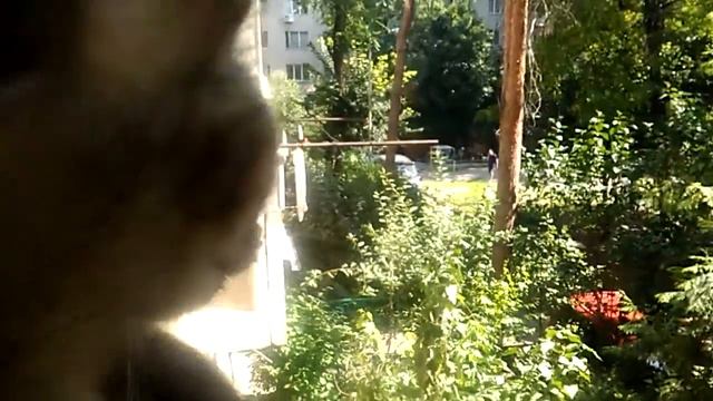 Рашеля смотрит в окно смотреть онлайн