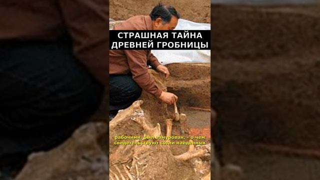 Ртутные ловушки первого императора Китая | Загадки истории |Артефакты #факты #интересно смотреть онлайн