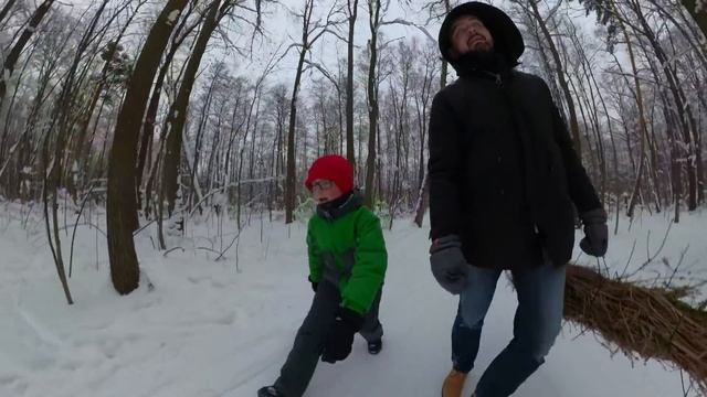 Реально ли сдать ёлку на переработку в Москве? смотреть онлайн