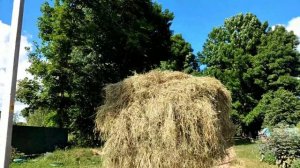 ✅Вот как нужно возить сено на мотоблоке мтз