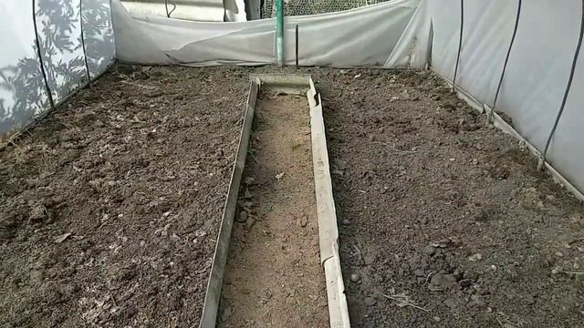 Vlog-59 Мульча в огороде?шиповник для подвоя смотреть онлайн