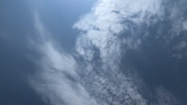 Голубятник с Западной Сибири в гостях у Гусейнова Теймура в Астрахани! смотреть онлайн