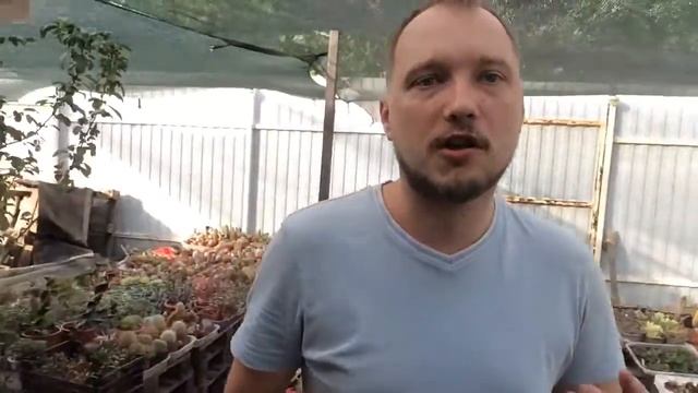 Как сделать дорожку на даче из спанбонда? смотреть онлайн