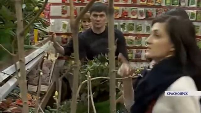 В Красноярске открылась большая ярмарка для дачников и садоводов смотреть онлайн