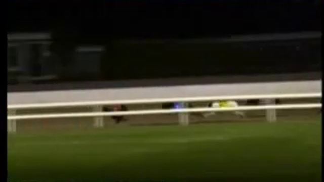 IGB - The GAIN Greyhound 28 27/04/2019 Race 11 - Waterford смотреть онлайн