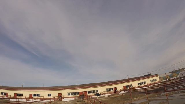 Поездка на ферму "Русский страус"/08.04.2018 смотреть онлайн