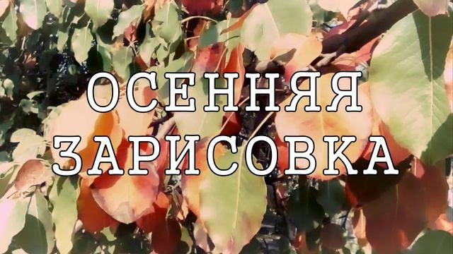 Осенняя зарисовка ??? смотреть онлайн