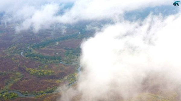 По областям