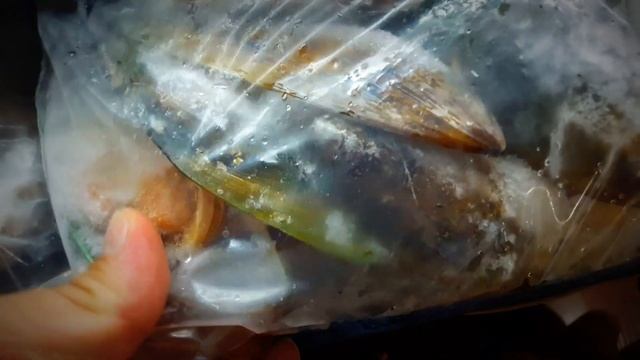 Скоро будем готовить новозеландские мидии смотреть онлайн