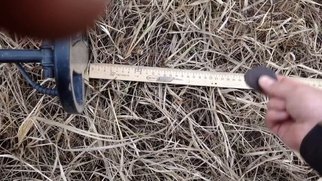 X-Terra 705 и Сигнум 7272 MFT. Разговоры о приборах. 1 часть.