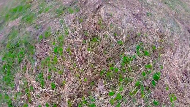 покатушка на мопеде racer trophy 110n #4 смотреть онлайн