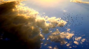 Можно ли во время поста в Рамадан слушать музыку?