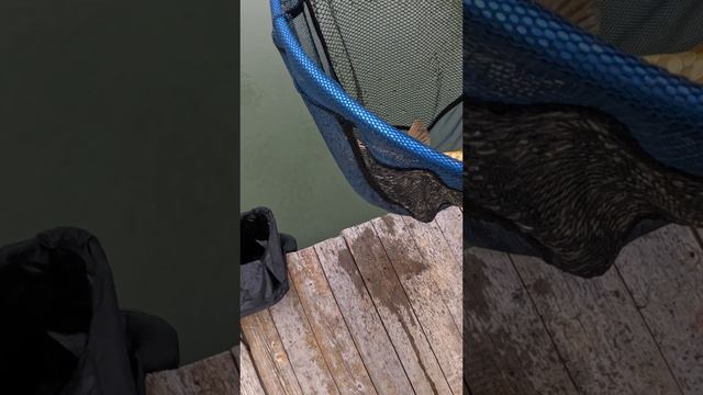 «ПОДНЯЛИ КАРПА НА ФЛЕТ» #shorts