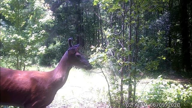 Wildgames Shaddow lightsout 1year review смотреть онлайн