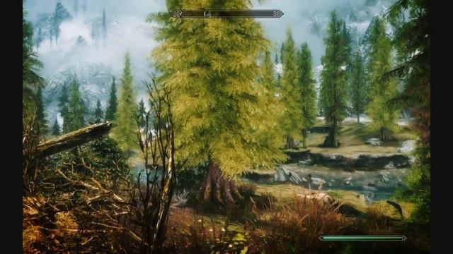 Skyrim - Realistic Graphics (all maxed out + mods) смотреть онлайн
