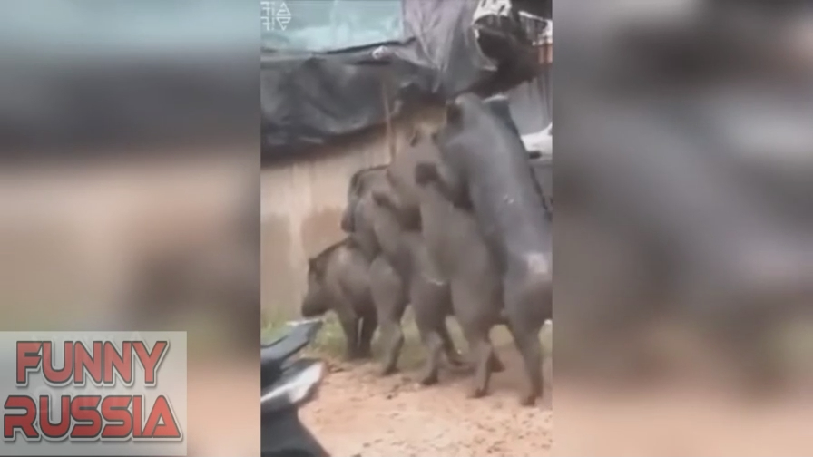 20 минут ржаки до слезУлётные приколы Апрель 2018Смешно Я плакал! (1) смотреть онлайн