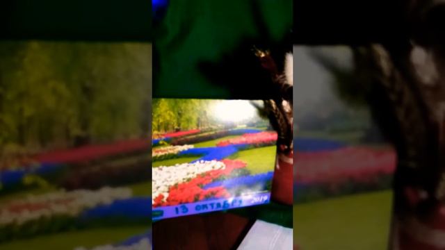 НАША Любимая Евочка, ПОЗДРАВЛЯЕМ с 18-летием!!! смотреть онлайн