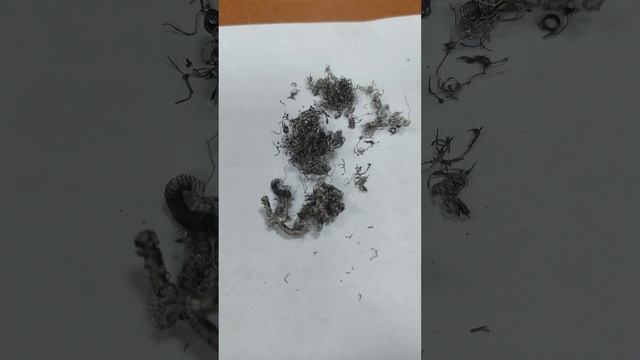 Компания Zolotolom.ru скупает радиодетали СССР по высоким ценам. Звоните прямо сейчас 89773318143! смотреть онлайн