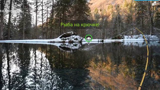 Рыбалка🎣 Отдых На Природе🌿 Река Клаус🏞️ Звуки Природы, Пение Птиц🐦 Красивые Пейзажи My Fishing Worl смотреть онлайн