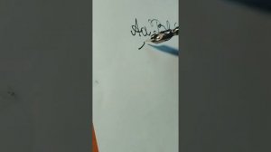 Английский алфавит прописными буквами перьевой ручкой.